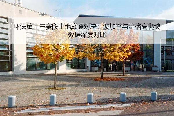 环法第十三赛段山地巅峰对决：波加查与温格高爬坡数据深度对比