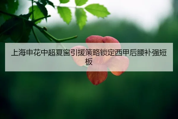 shang-hai-shen-hua-zhong-chao-xia-chuang-yin-yuan-ce-lve-suo-ding-xi-jia-hou-yao-bu-qiang-duan-ban-2-109.jpg